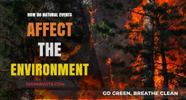 Natural Disasters' Impact: How Events Shape and Alter Our Environment