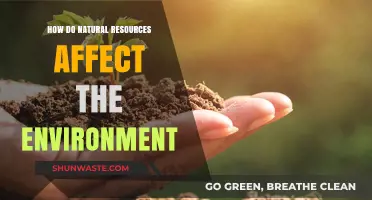 Natural Resources' Impact: Shaping Ecosystems and Environmental Sustainability