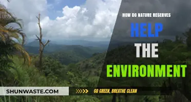 Nature Reserves: Vital Sanctuaries for Environmental Preservation and Biodiversity