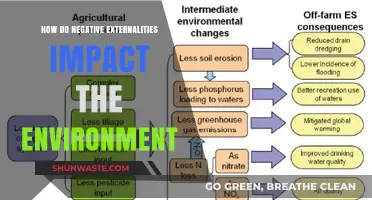 Negative Externalities: Unseen Environmental Costs and Their Global Impact