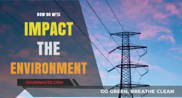 NFTs' Environmental Impact: Uncovering the Ecological Footprint of Digital Art