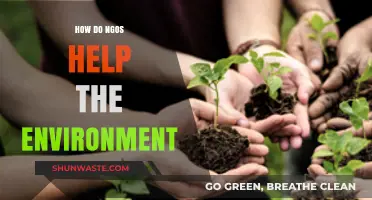 How NGOs Drive Environmental Conservation and Sustainability Efforts Globally