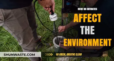 Nitrates' Environmental Impact: Pollution, Ecosystems, and Water Quality Explained