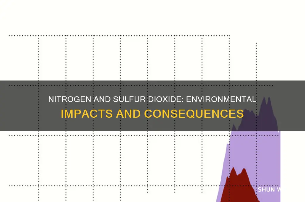 how do nitrogen dioxide and sulfur dioxide affect the environment