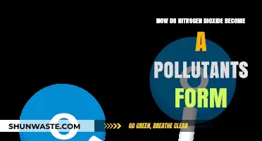 Nitrogen Dioxide's Transformation: Pollutant Formation Process