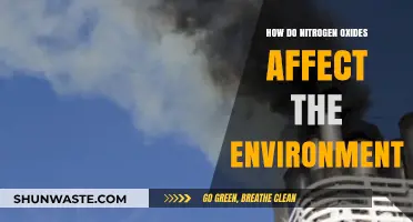 Nitrogen Oxides' Environmental Impact: Air, Water, and Ecosystem Consequences