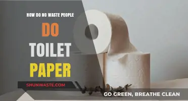 Eco-Friendly Bathroom Habits: Sustainable Alternatives to Traditional Toilet Paper
