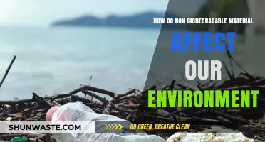 Non-Biodegradable Materials: Environmental Impact and Sustainable Solutions