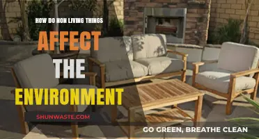 Non-Living Things: Their Surprising Impact on Our Environment Explained