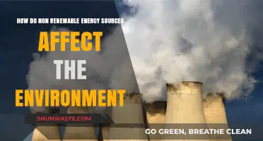 Non-Renewable Energy's Environmental Impact: Pollution, Climate Change, and Beyond