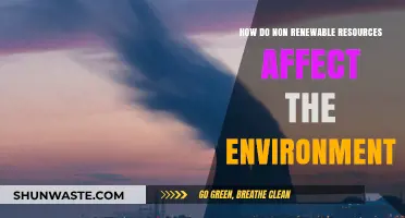 Non-Renewable Resources: Environmental Impacts and Sustainable Alternatives Explored