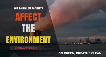 Nuclear Accidents: Devastating Environmental Impacts and Long-Term Consequences