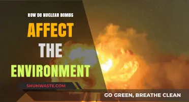 Nuclear Bombs' Devastating Environmental Impact: Long-Term Consequences Explained