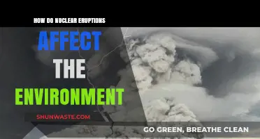 Nuclear Eruptions: Environmental Impacts and Long-Term Ecological Consequences