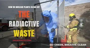 Safely Managing Radioactive Waste: Nuclear Plant Decontamination Processes Explained