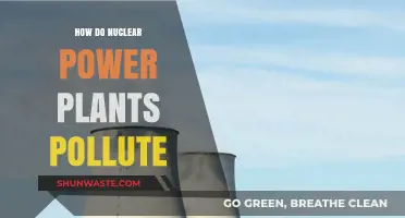 Nuclear Power Plants: Pollution and its Sources