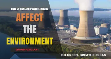 Environmental Impact of Nuclear Power Stations: Benefits and Concerns