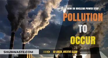 Nuclear Power: Clean Energy, Pollution Solution