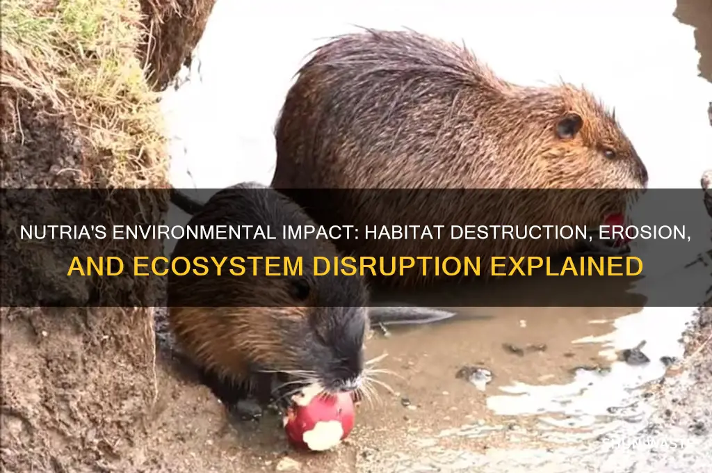 how do nutria affect the environment