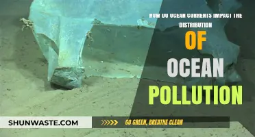 Ocean Currents: Pollutants' Fate and Impact