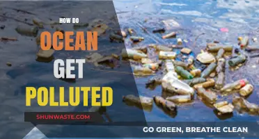 Ocean Pollution: Understanding the Human Impact