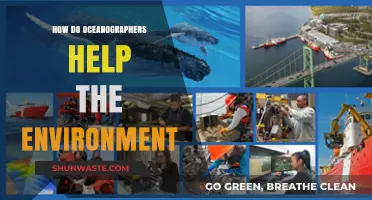 Oceanographers' Vital Role in Protecting and Preserving Marine Ecosystems