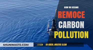 Oceans: Absorbing Carbon, Saving Us From Ourselves
