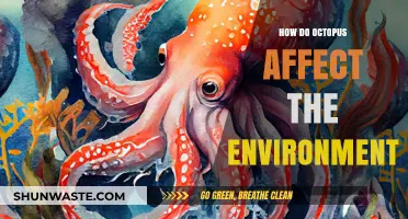 Octopus Impact: How These Intelligent Creatures Shape Marine Ecosystems
