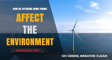 Offshore Wind Farms: Environmental Impacts and Sustainable Energy Solutions