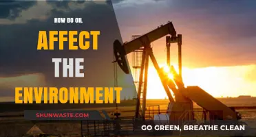 Oil's Environmental Impact: Pollution, Climate Change, and Ecosystem Destruction Explained