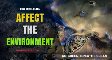Oil Leaks' Devastating Environmental Impact: Pollution, Wildlife, and Ecosystems at Risk
