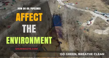 Environmental Impact of Oil Pipelines: Risks, Consequences, and Sustainability Challenges