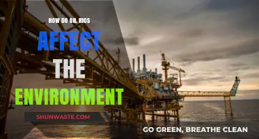 Oil Rigs' Environmental Impact: Pollution, Wildlife, and Ecosystem Disruption