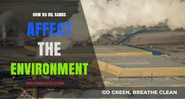 Oil Sands' Environmental Impact: Pollution, Wildlife, and Climate Change Concerns