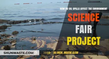 Oil Spills' Environmental Impact: A Science Fair Project Exploration