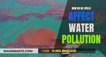 Oil Spill Impact: Water Pollution and its Devastating Effects