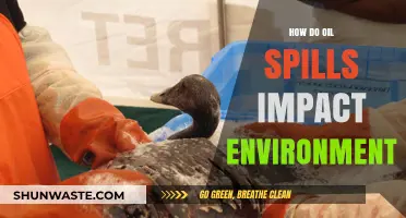 Devastating Effects of Oil Spills on Ecosystems and Wildlife