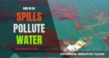 Oil Spill Catastrophe: Water Pollution's Devastating Impact