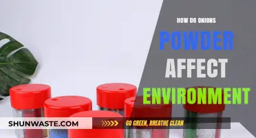 Onion Powder's Environmental Impact: Sustainability, Production, and Ecological Effects