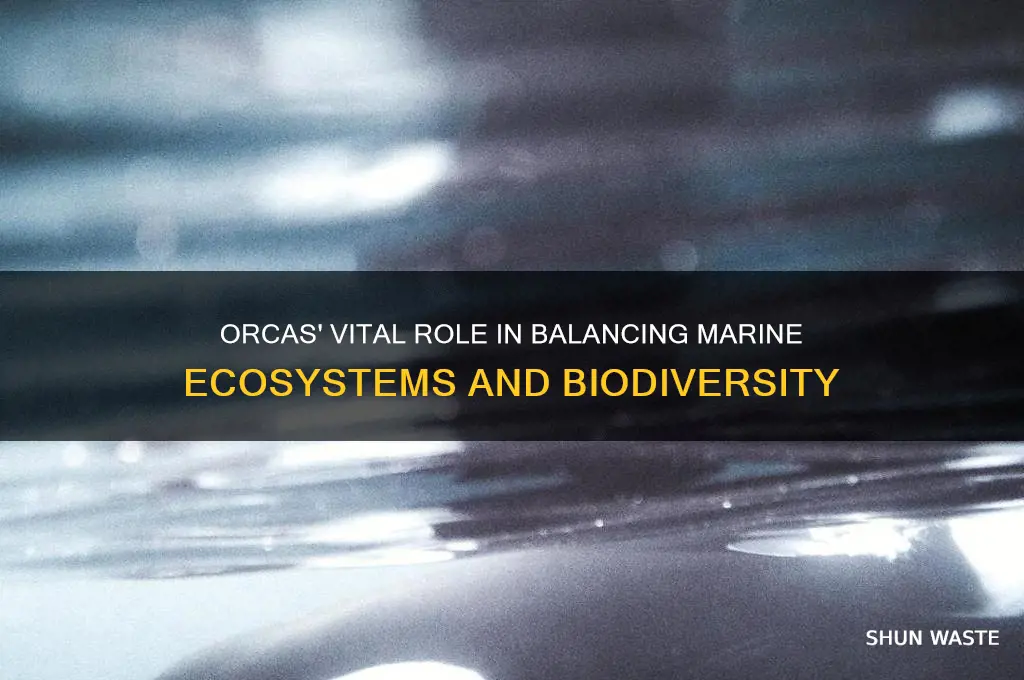 how do orcas help the environment