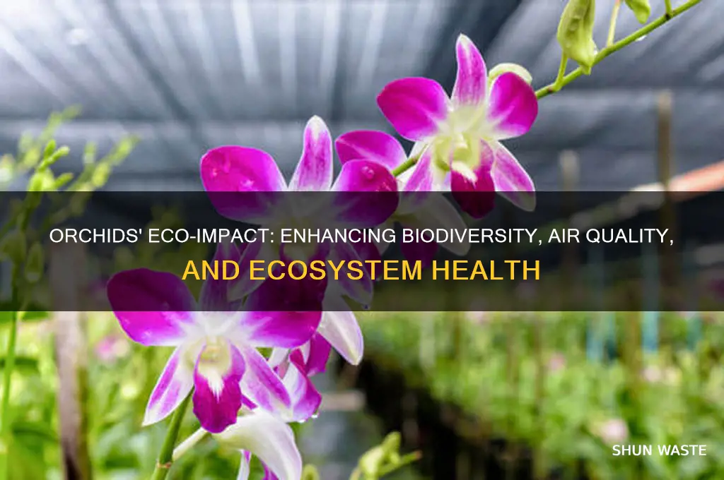 how do orchids help the environment