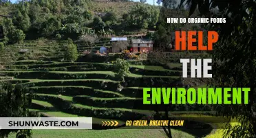 Organic Foods: Sustainable Choices for a Healthier Planet and Future