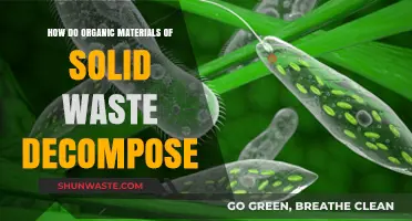 Organic Decomposition: Understanding How Solid Waste Materials Break Down Naturally