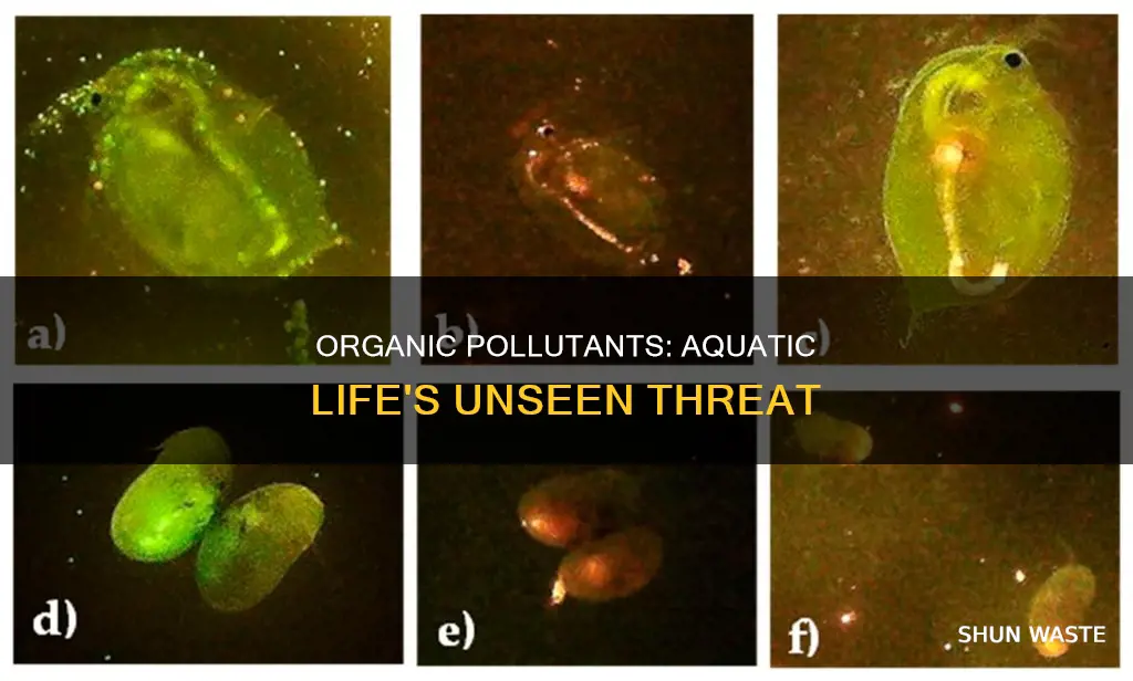 how do organic pollutants affect aquatic life