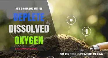 Organic Waste's Impact: Dissolved Oxygen Depletion Explained