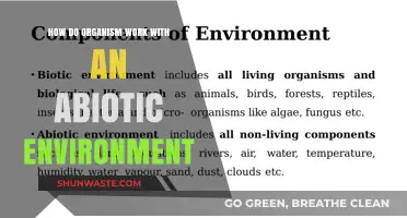 Organisms and Abiotic Environments: Unraveling Their Complex Interdependence
