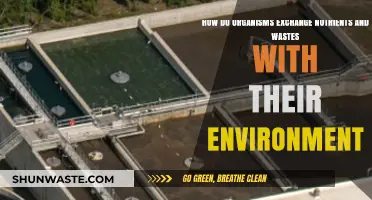 Nutrient and Waste Exchange: How Organisms Interact with Their Environment