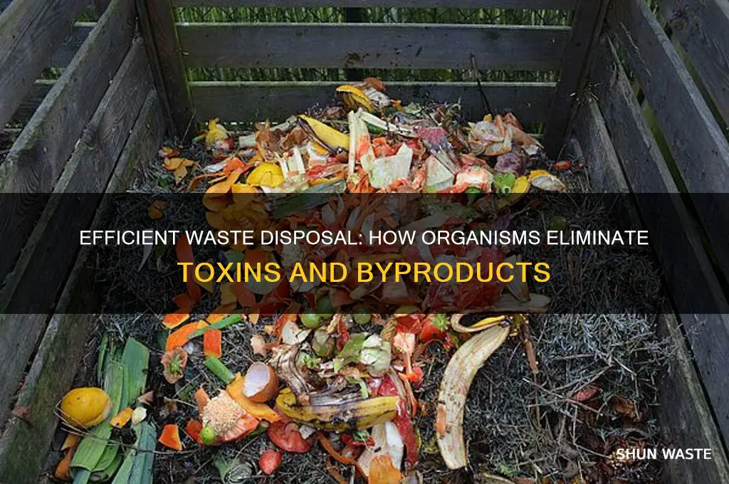 how do organisms get rid of waste