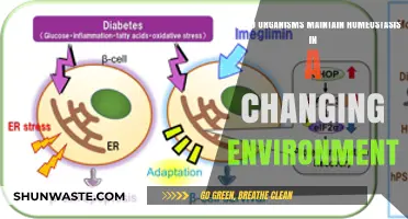 Adapting to Survive: Homeostasis Strategies in Dynamic Ecosystems
