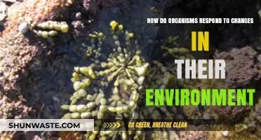 Adapting to Survive: Organisms' Responses to Environmental Changes Explained
